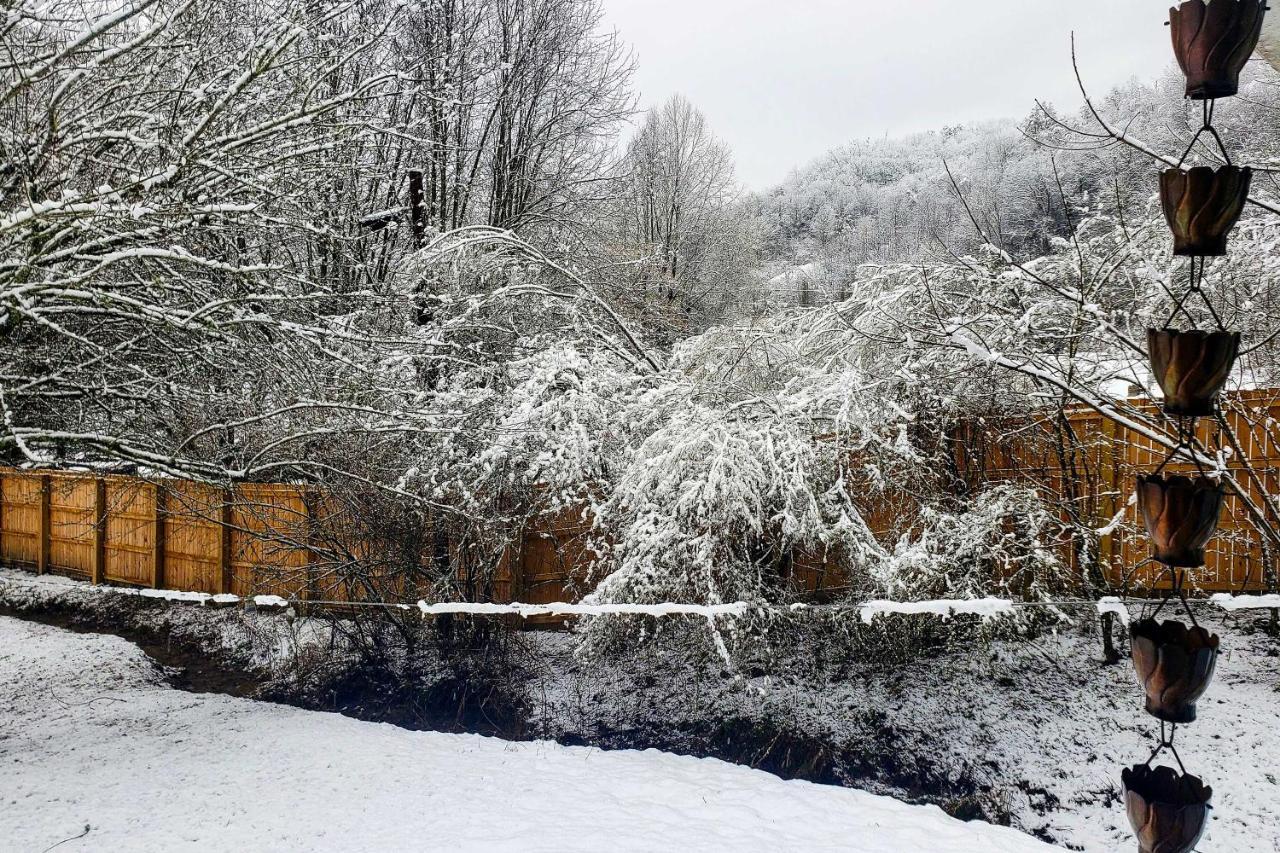 Smoky Mountain Vacation Rental With Hot Tub And Kayaks Whittier Екстер'єр фото
